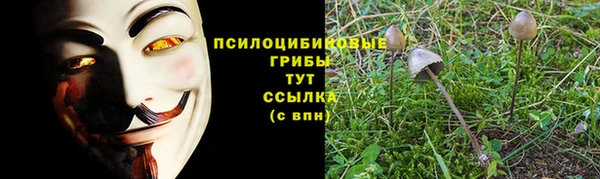мескалин Дмитриев