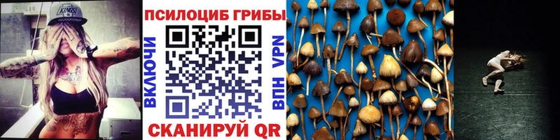 Купить закладки  Тогучин  Галлюциногенные грибы GOLDEN TEACHER 